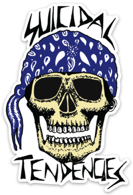 ST RxCx SKULL MAGNET